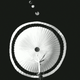 The deployed parachute.